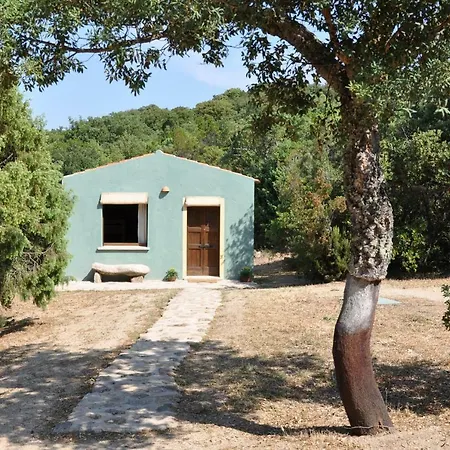 Holiday home La Suara Tolta