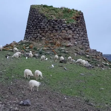 La Suara Tolta *