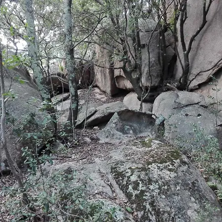 La Suara Tolta San Pantaleo