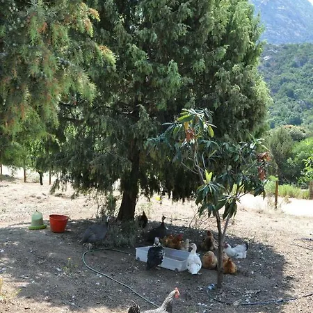 Holiday home La Suara Tolta